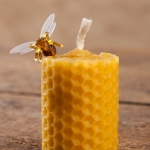 cire d'abeille